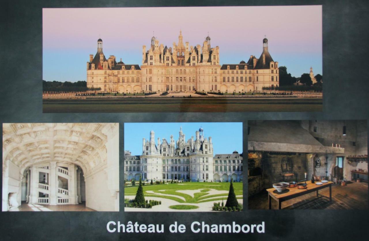 Sur Les Toits D'Amboise Leilighet Eksteriør bilde