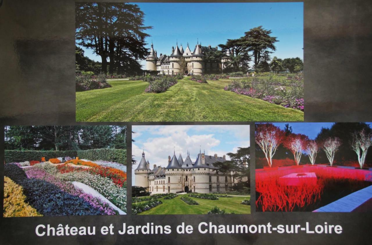 Sur Les Toits D'Amboise Leilighet Eksteriør bilde